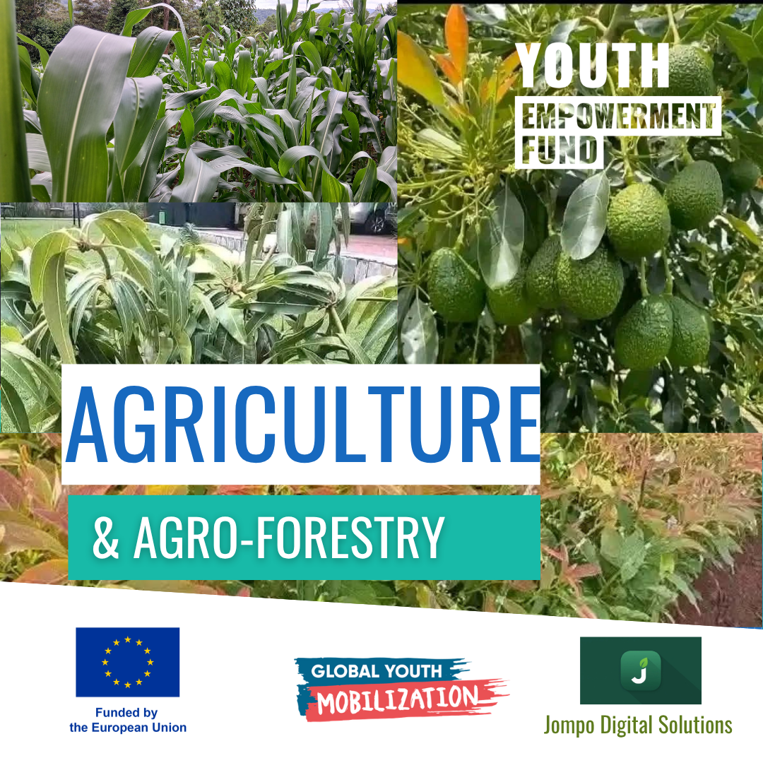 Global Youth Mobilization Agriculture and Agro-Forestry Project banner