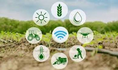 IoT in Agriculture